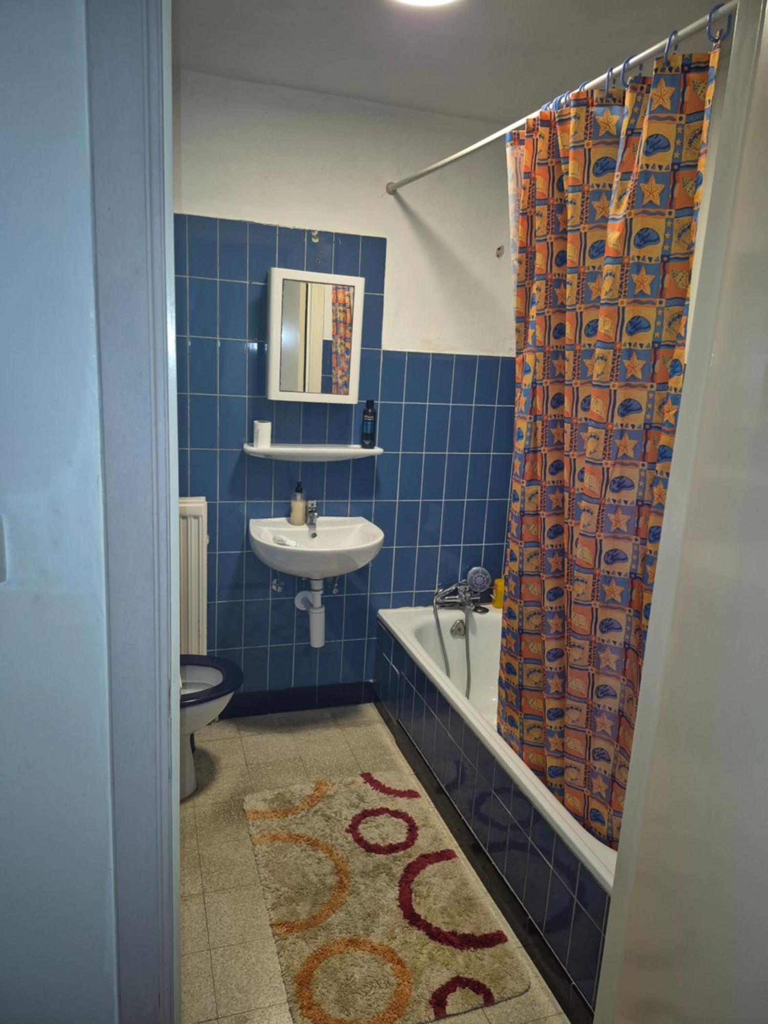 Gent'S Accomodations For Short And Middle Long Stay Экстерьер фото